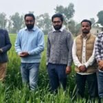 Dr. Chief Agriculture Officer from the agricultural teams. Inspection of crops under the guidance of Karanjit Singh Gill