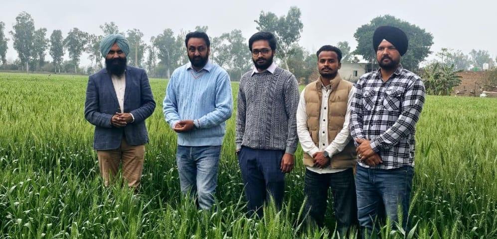 Dr. Chief Agriculture Officer from the agricultural teams. Inspection of crops under the guidance of Karanjit Singh Gill