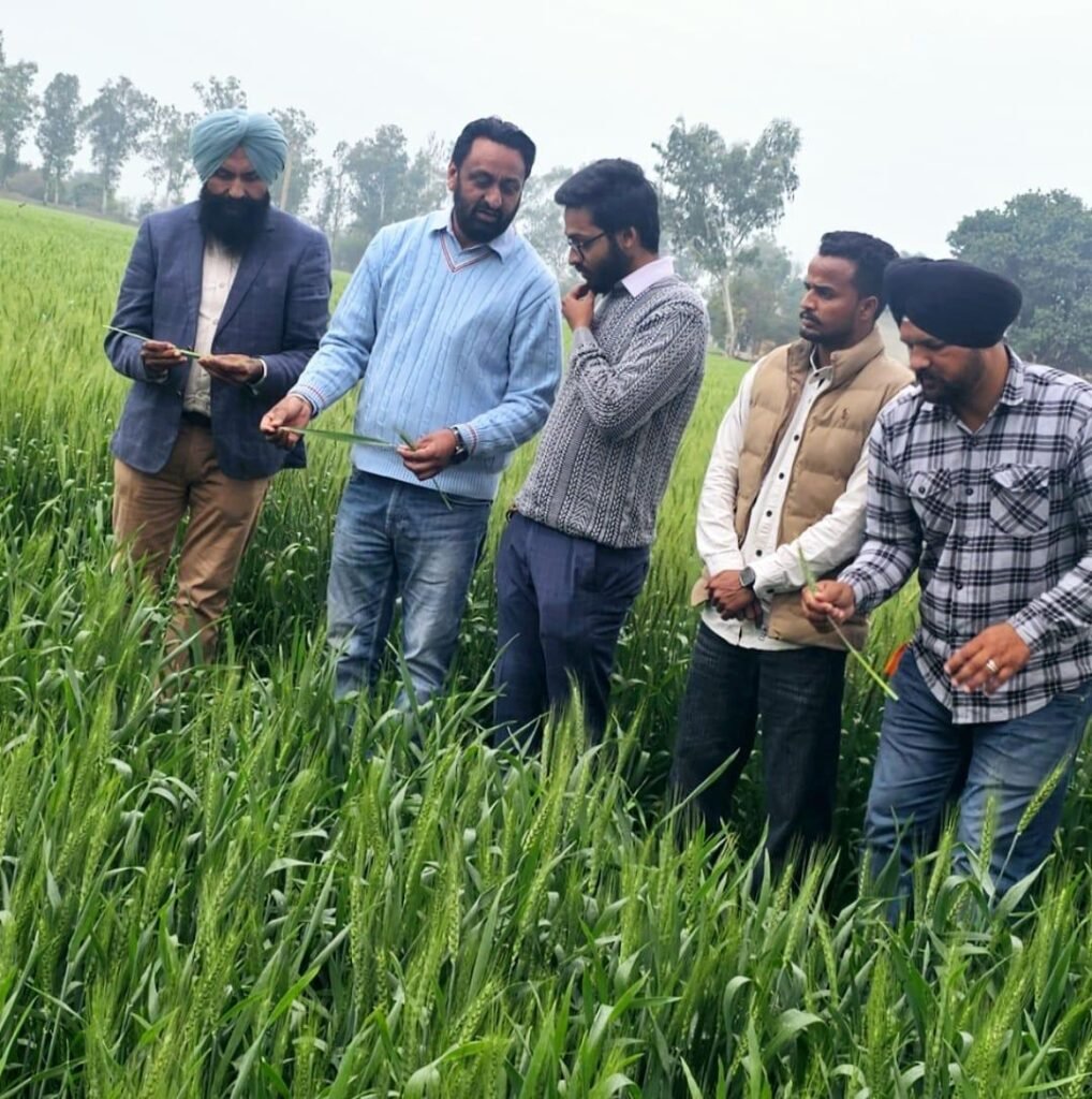 Dr. Chief Agriculture Officer from the agricultural teams. Inspection of crops under the guidance of Karanjit Singh Gill